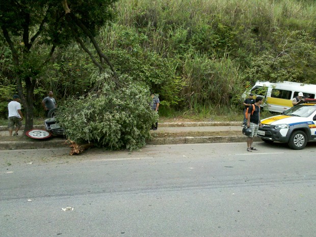 Um árvore foi arrancada com a acidente (Foto: Kaleo Martins / G1)