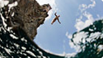 Cliff Diving World Series