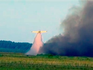 Aviões maiores reforçam combate ao incêndio na reserva do Taim, no RS (Foto: Reprodução/RBS TV)