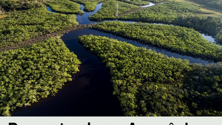 Amazonia (Foto:  )