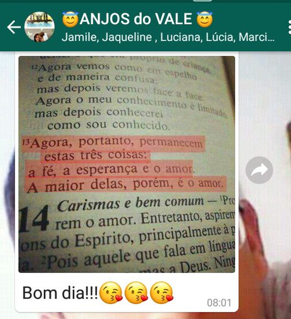 Grupo no Whatsapp 'Anjos do Vale' (Foto: Arquivo pessoal/ Mara Cristina )