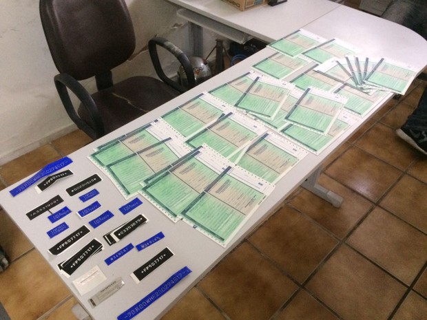 Documentos do Detran apreendidos em operação da polícia (Foto: Divulgação/Polícia Civil)