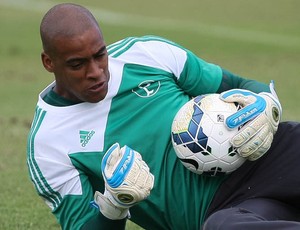 Jailson Palmeiras (Foto: Cesar Greco/Ag Palmeiras/Divulgação)