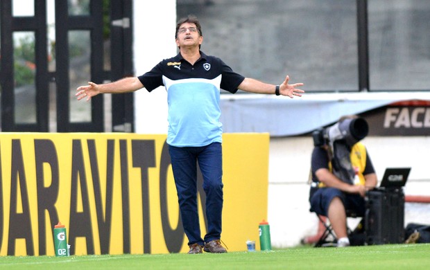 René Simões, Botafogo X Boa Vista (Foto: Andre Durão)