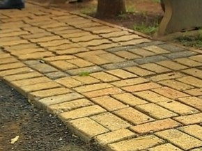 Tijolos Sao Feitos Com Material Retirado De Aterro Sanitario Bauru E Marilia G1