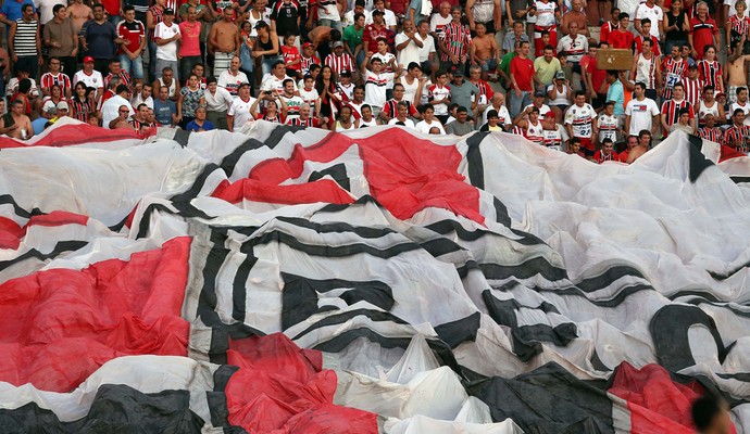 Fiel Força Tricolor (Foto: Thiago Calil/Ag. Botafogo)