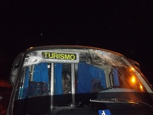 Micro-ônibus foi atingido no vidro dianteiro em Balneário Camboriú. (Foto: PRF/Divulgação)