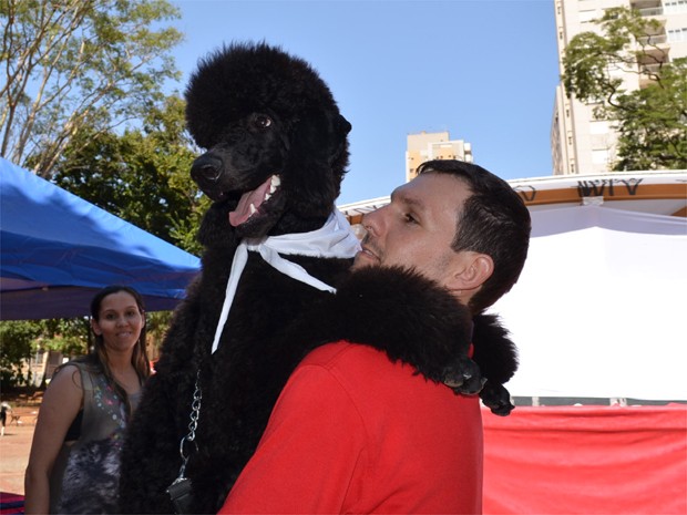 O Poodle gigante Black faz pose no colo do dono durante desfile de animais em Ribeirão (Foto: Fernanda Testa/G1)