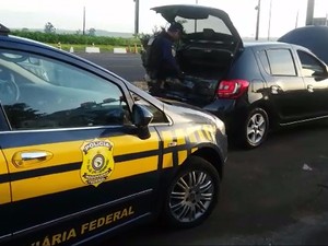 Motorista abandona carro com 312 kg de maconha ao ser perseguido no Paraná (Foto: Divulgação/PRF)
