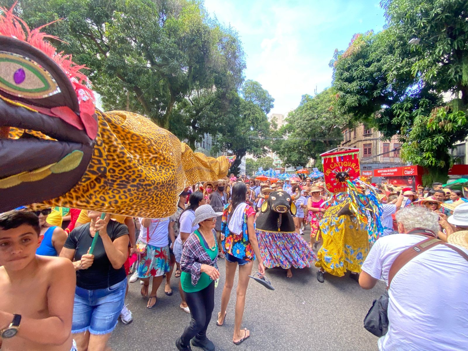 Tradição de 35 anos arrastões do Arraial do Pavulagem voltam às ruas