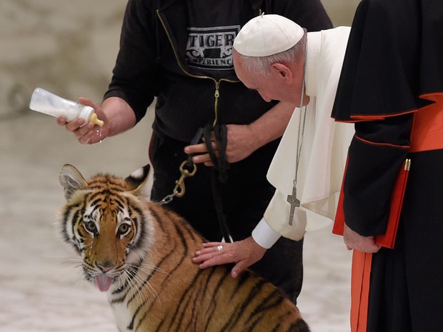 Papa acaricia tigre em audiência com artistas de circo no Vaticano  (Foto: Andreas Solaro/AFP)