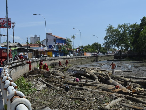 Equipes da prefeitura limpando a orla de Macapá (Foto: Graziela Miranda/G1)