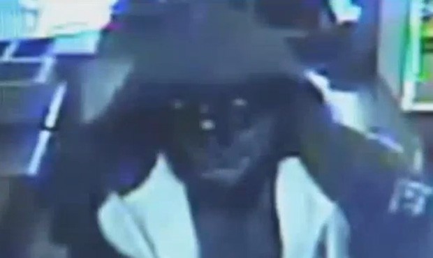 Homem roubou loja de conveniência com máscara de gorila (Foto: Reprodução/YouTube/CCTV)