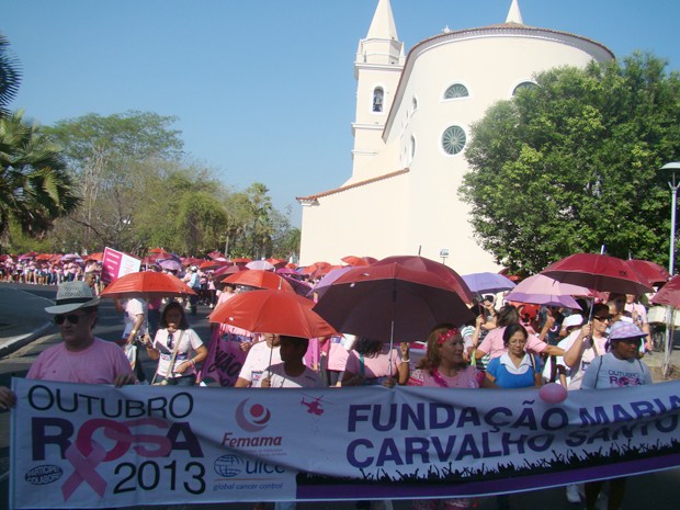 Caminhada reúne cerca de quatro mil mulheres contra câncer no Piauí (Foto: Gilcilene Araújo/G1)