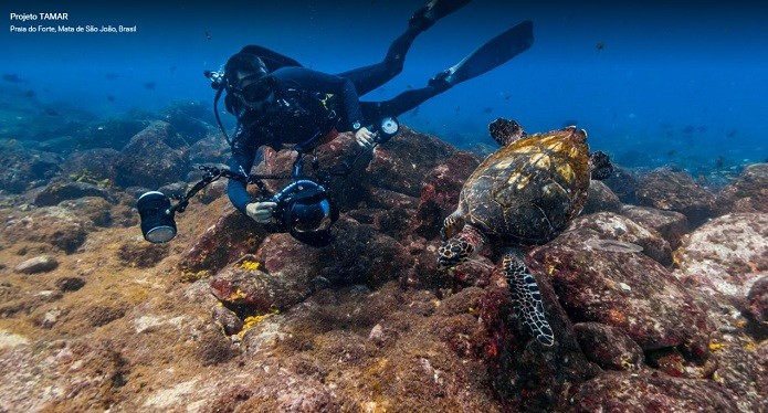 Google também adicionais diversos passeios pelo Street View (Foto: Divulgação/Google)