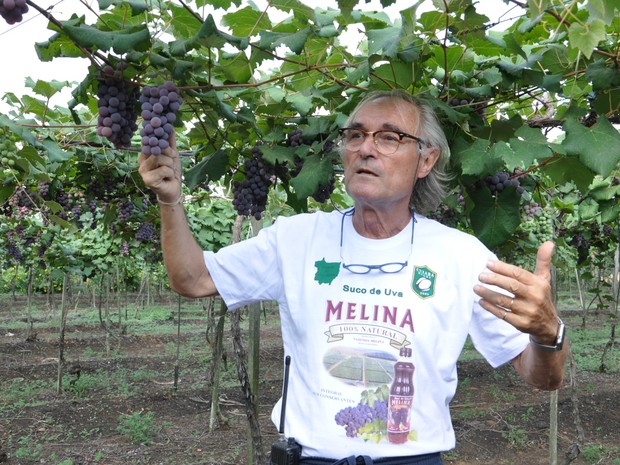 Francês Michel Le Plus é sócio de fábrica de sucos de uva, situada em Nova Mutum (Foto: Amanda Sampaio/ G1)