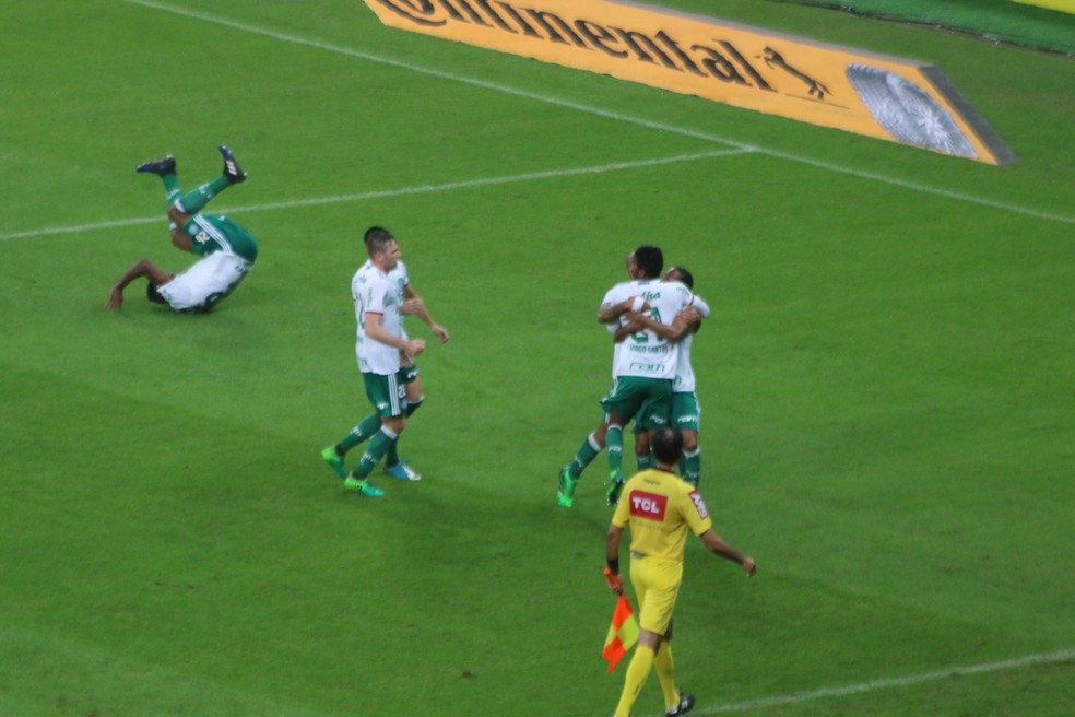 Palmeirenses comemoram gol contra do Inter até com cambalhota (Foto: Eduardo Deconto/GloboEsporte.com)