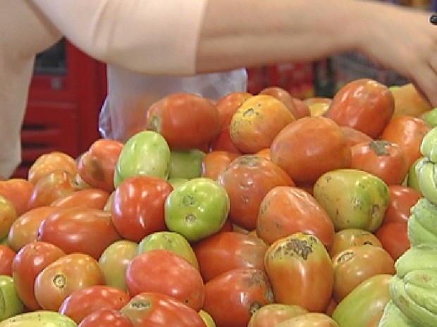 Preço do tomate volta a subir na região noroeste paulista (Foto: Reprodução/TV TEM)