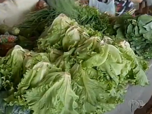 Preços de hortaliças são divulgados toda semana pela internet (Foto: Reprodução/TV Anhanguera)