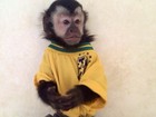 Latino e Rayanne vestem macaco de estimação com uniforme do Brasil