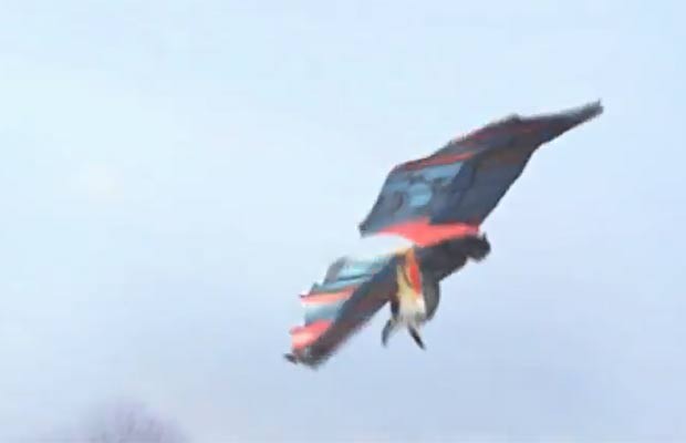 Em março, um holandês publicou um vídeo em que aparecia voando como um pássaro. Após muitas pessoas duvidarem de seu feito, o homem chamado Floris Kaayk, que seria  um ‘cineasta e especialista em animação’, admitiu que criou o vídeo (Foto: Reprodução)