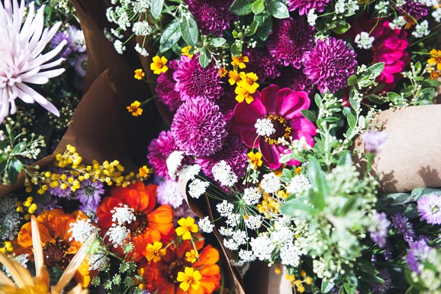 Floriografia, a linguagem das flores e seus significados - Casa Vogue |  Natureza em casa