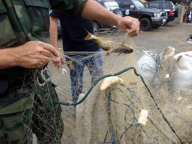 G1 Dois São Presos Com 28kg De Peixe Em época De Piracema No Es Notícias Em Espírito Santo 1834