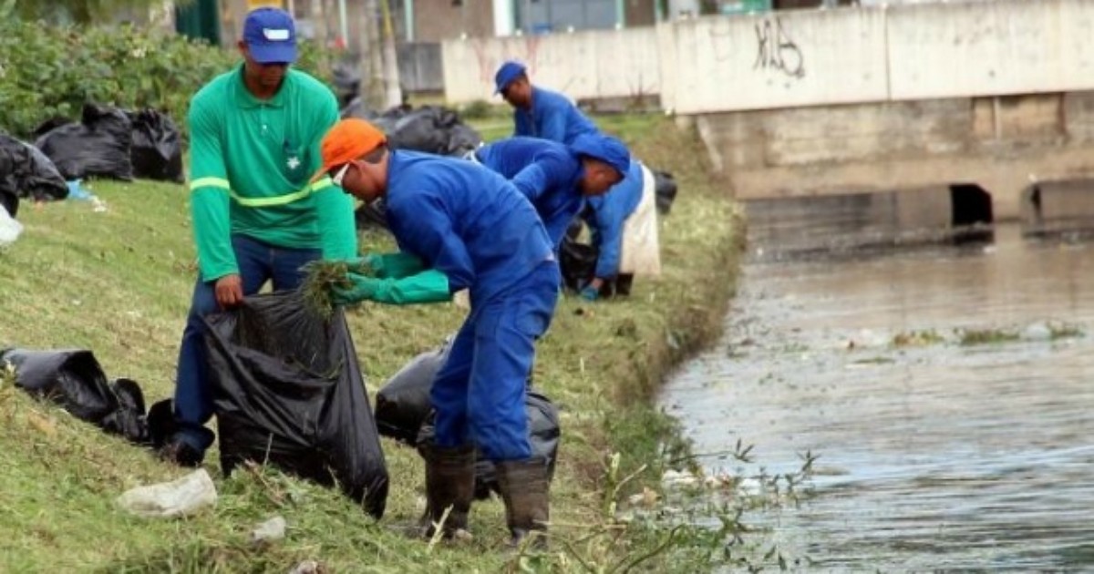 G1 Quase 300 toneladas de lixo são retiradas de canais em Vila Velha