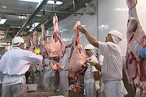 Produção de carne bovina em frigorífico de Barretos, SP (Foto: Reprodução EPTV)