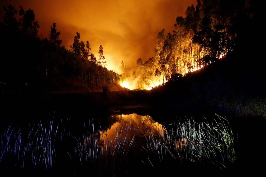 Floresta perto de Bouca, na região central de Portugal, neste domingo (18)  (Foto: Rafael Marchante/ Reuters)