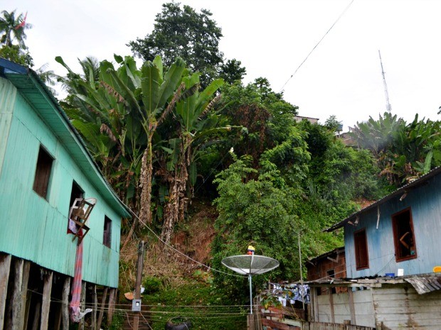 Casas ficam às margens de um barranco em Cruzeiro do Sul  (Foto: Vanísia Nery/ G1)