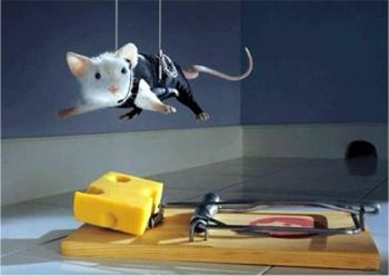 Ratoeira (Foto: Arquivo Google)