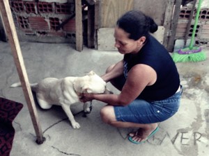 Desempregada cuida de gatos e cachorros recolhidos das ruas de Caruaru (Foto: Lafaete Vaz/TV Asa Branca)