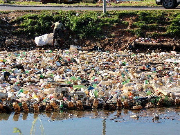 Catator recolhe recicláveis de igarapé com acúmulo de lixo em Manaus (Foto: Jamile Alves/G1 AM)