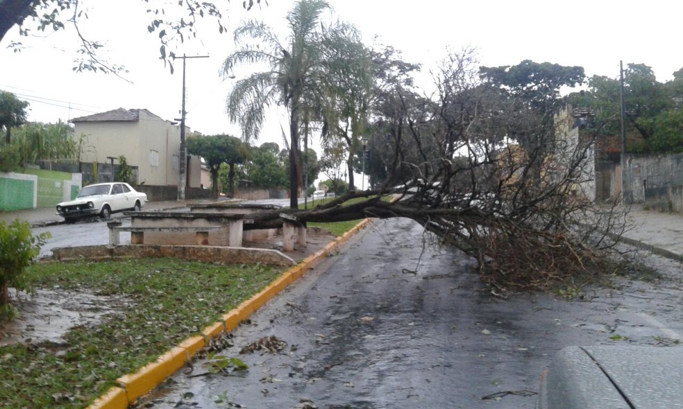 Temporal com chuva de granizo causou estragos em Dracena (Foto: Marcelo Cavalheiro/Cedida)