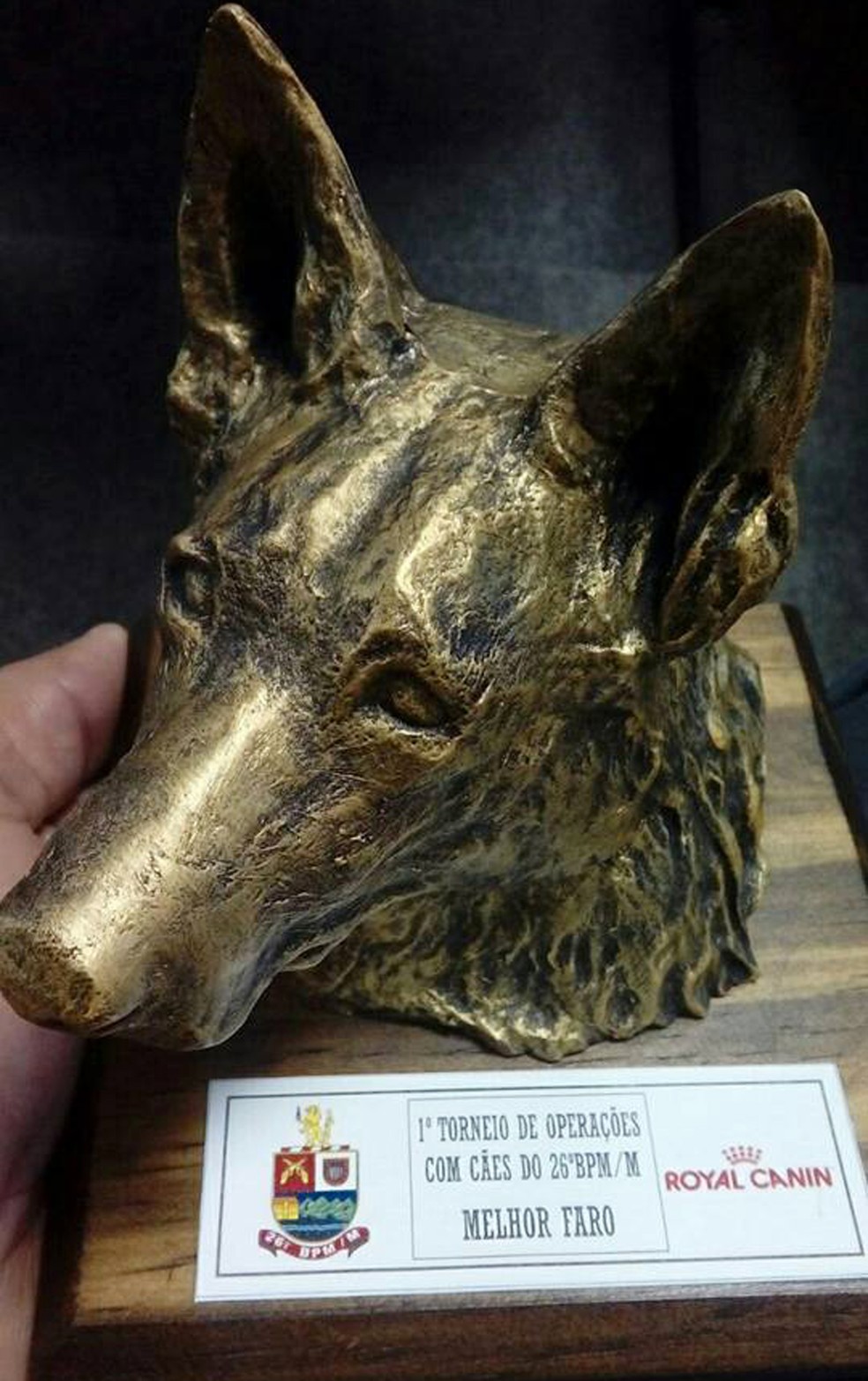 Baruk conquistou o título de melhor cão de faro (Foto: Polícia Militar/Cedida)