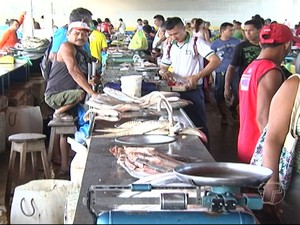 Multa para quem for pego, pescando, armazenando ou vendendo os peixes varia de R$700 a R$100 mil (Foto: Reprodução/TV Tapajós)