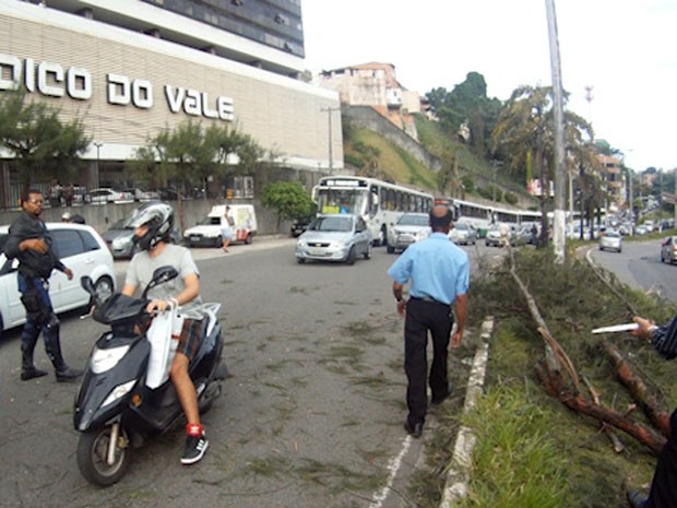 Árvore cai nos dois sentidos do Vale do Canela, em Salvador (Foto: Imagens/TV Bahia)