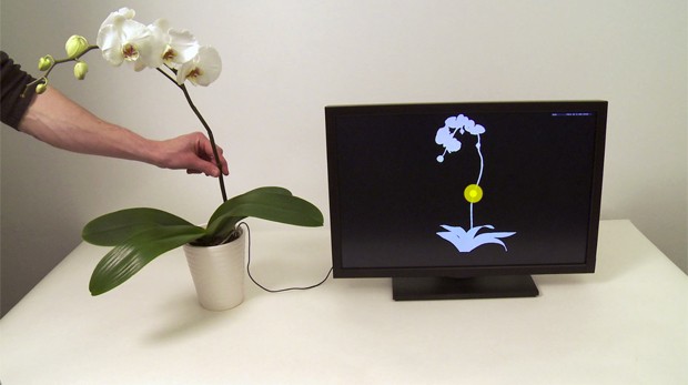 Monitor mostra detecção de toque da planta (Foto: Divulgação)