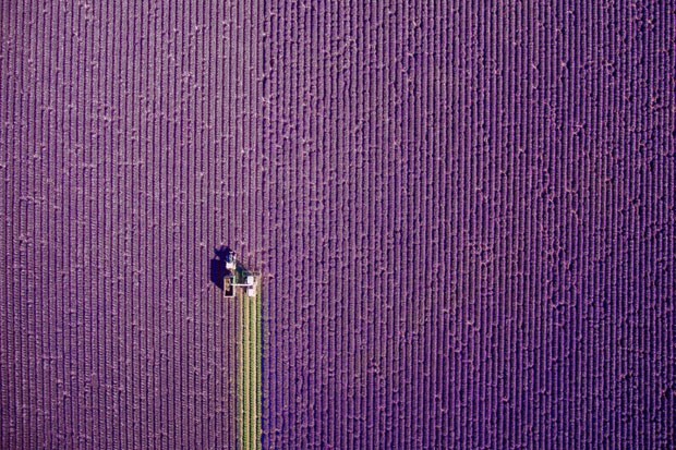 As melhores fotos feitas por drones em 2017 (Foto: Reprodução)