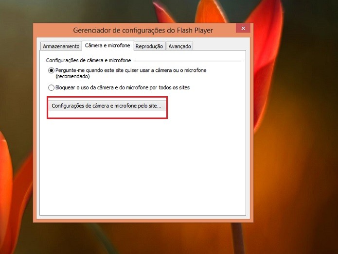 Descubra quais sites solicitaram acesso a seu microfone e câmera (Reprodução/Taysa Coelho)