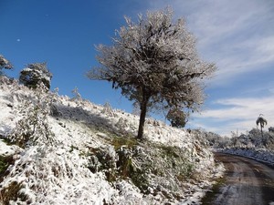 Vidal Ramos ficou coberta pela neve (Foto: Kênia Elis Kuhnen/Arquivo Pessoal)