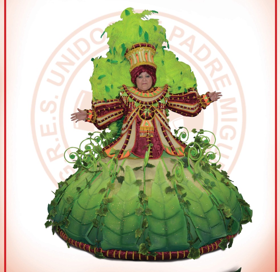 Unidos de Padre Miguel cortou festa de apresentação de protótipos. Fantasias podem ser vistas no Facebook da escola (Foto: Reprodução/ Facebook Unidos de Padre Miguel)