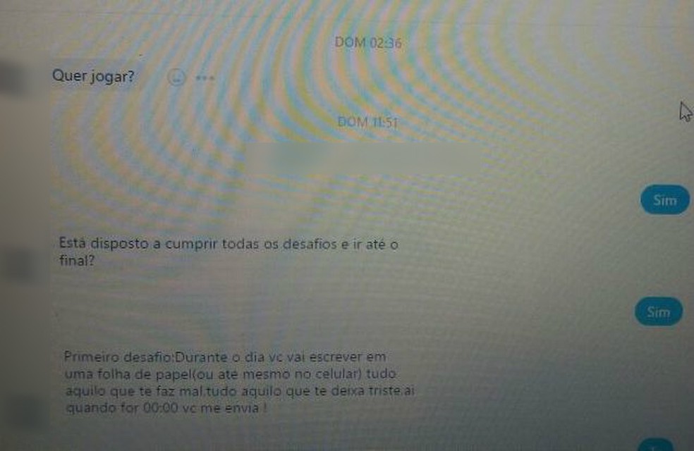 Adolescente trocou mensagens com curador de jogo da Baleia Azul (Foto: Arquivo Pessoal)