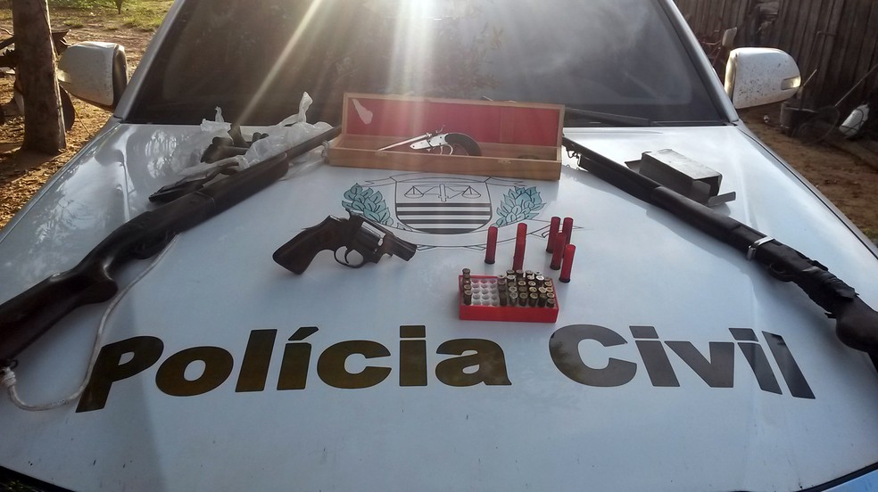 Armas e munições foram localizadas em Presidente Epitácio (Foto: Polícia Civil/Cedida)