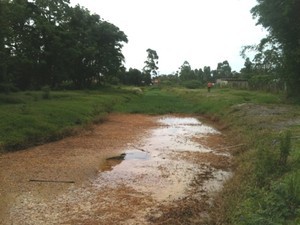 Vazamento de óleo foi descoberto em dezembro, cerca de um mês depois do acidente ambiental (Foto: Celesc/Divulgação)