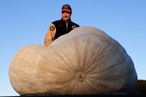 John Hawkley com sua abóbora de 933 quilos (Foto: Alex Washburn/AP)