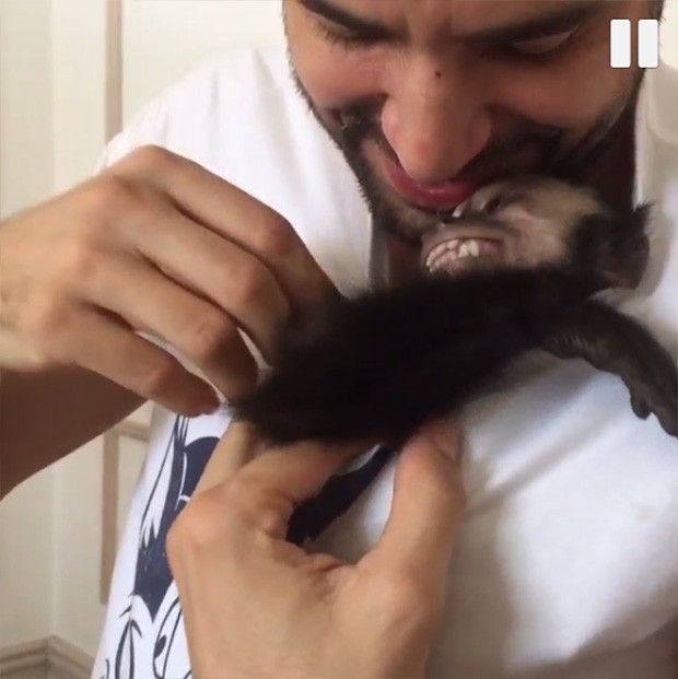 Latino com o macaco Twelves (Foto: Instagram / Reprodução)