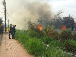 Incêndio atingiu uma área verde na Estrada da Floresta  (Foto: Dayane Leite/Arquivo pessoal )