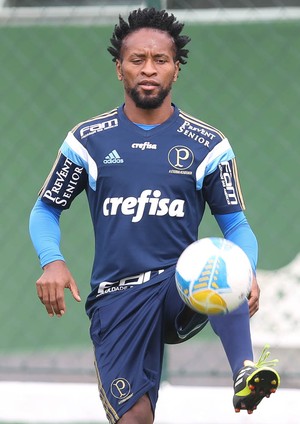 Zé Roberto Palmeiras Treino (Foto: Cesar Greco/Ag Palmeiras/Divulgação)